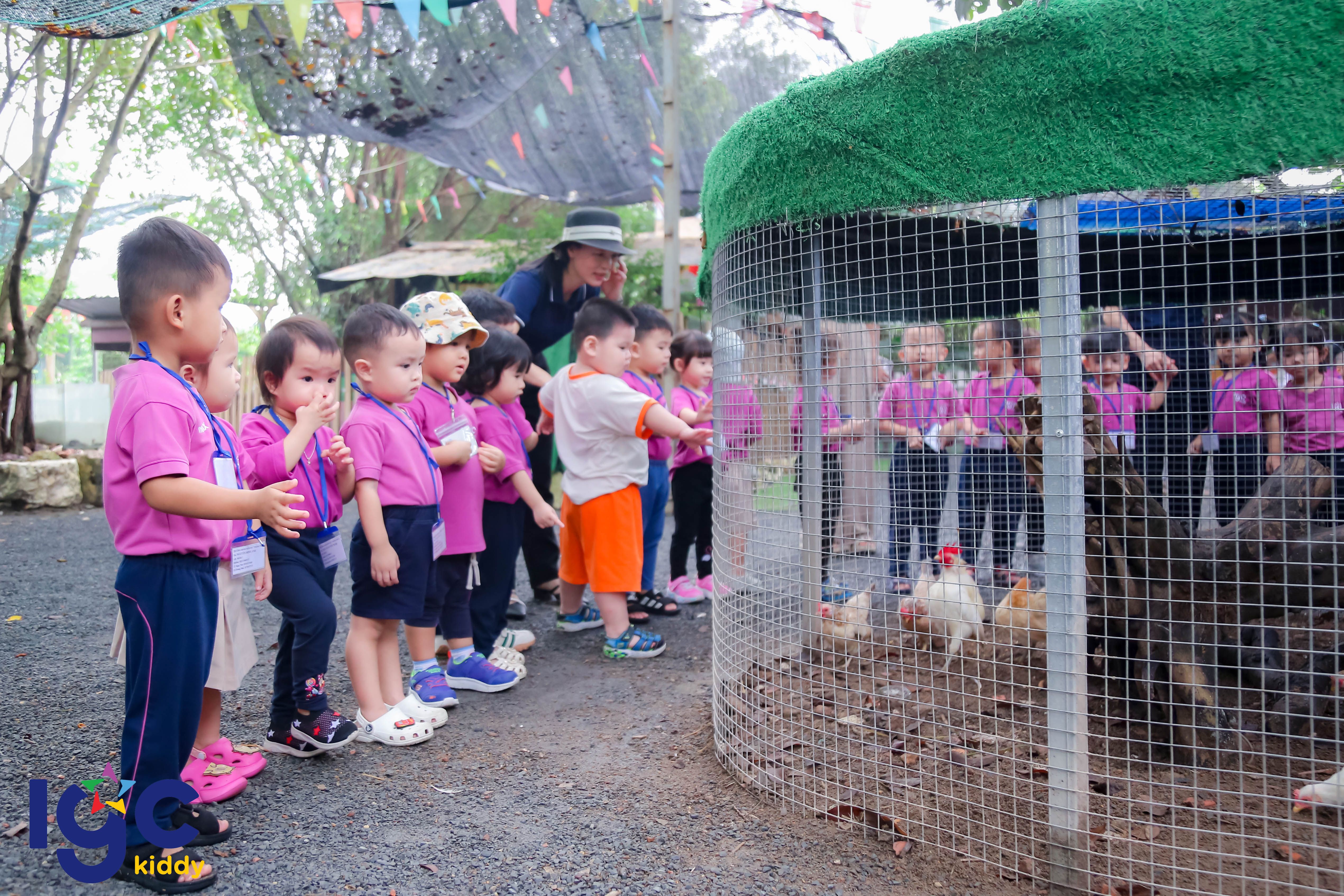 DÃ NGOẠI AN NHIÊN FARM