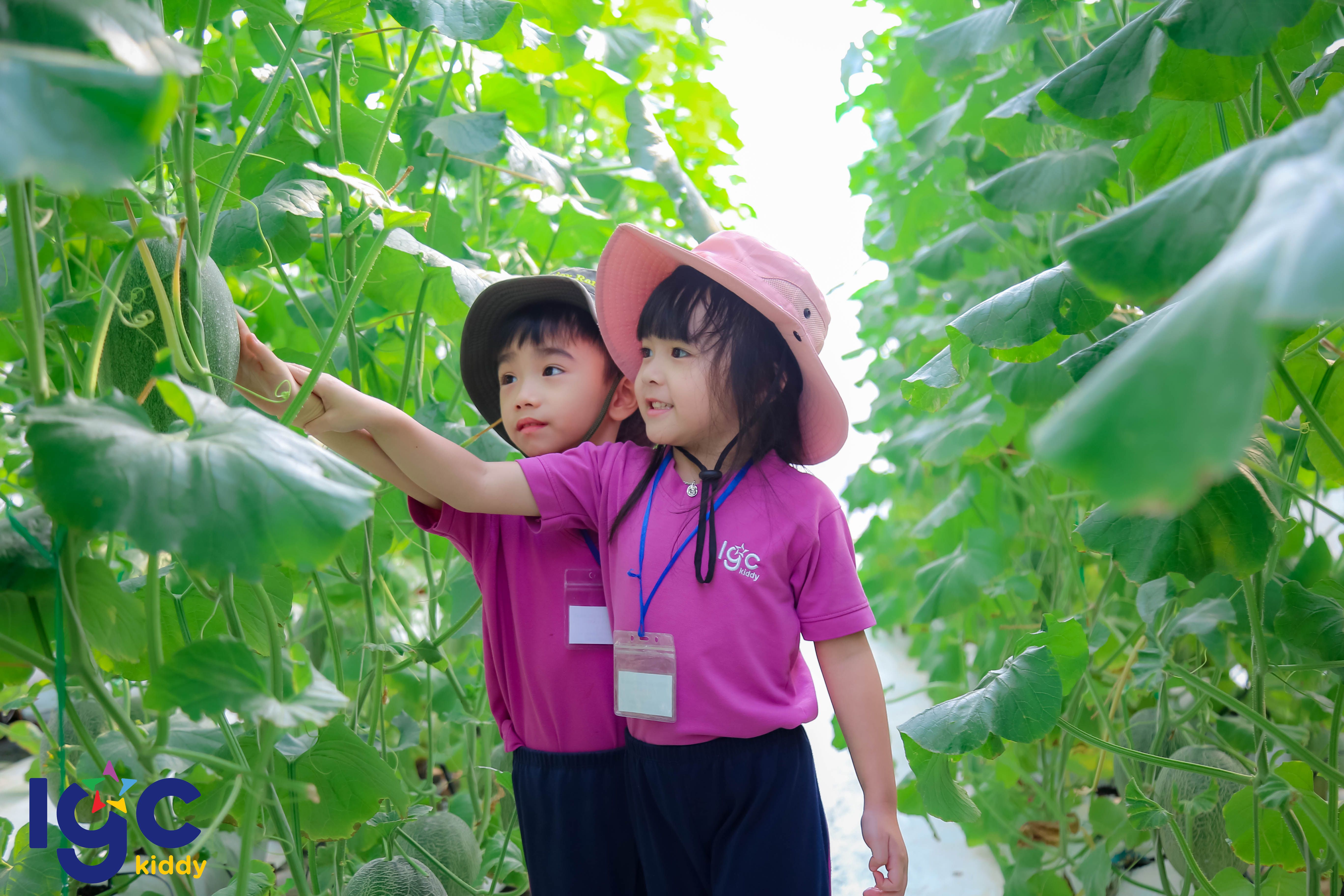 DÃ NGOẠI MERY FARM