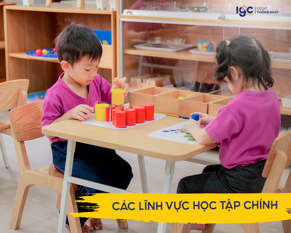 các lĩnh vực học tập chính