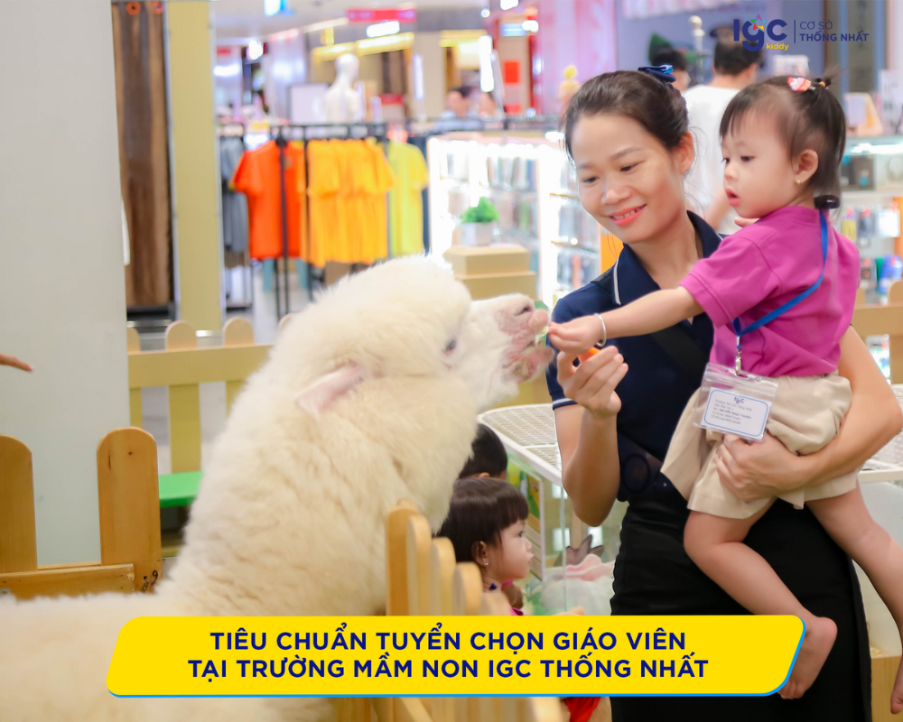 Tiêu chuẩn tuyển chọn giáo viên tại Trường Mầm Non IGC Thống Nhất 